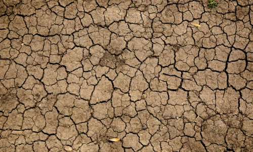 Drought Risk Indicator Web App. 
