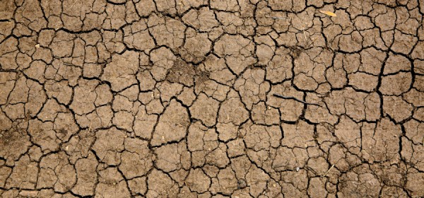 Drought Web App. 